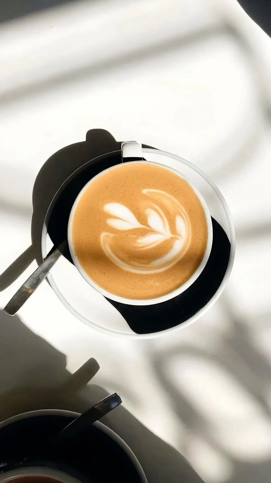 Latte, pencere ışığı